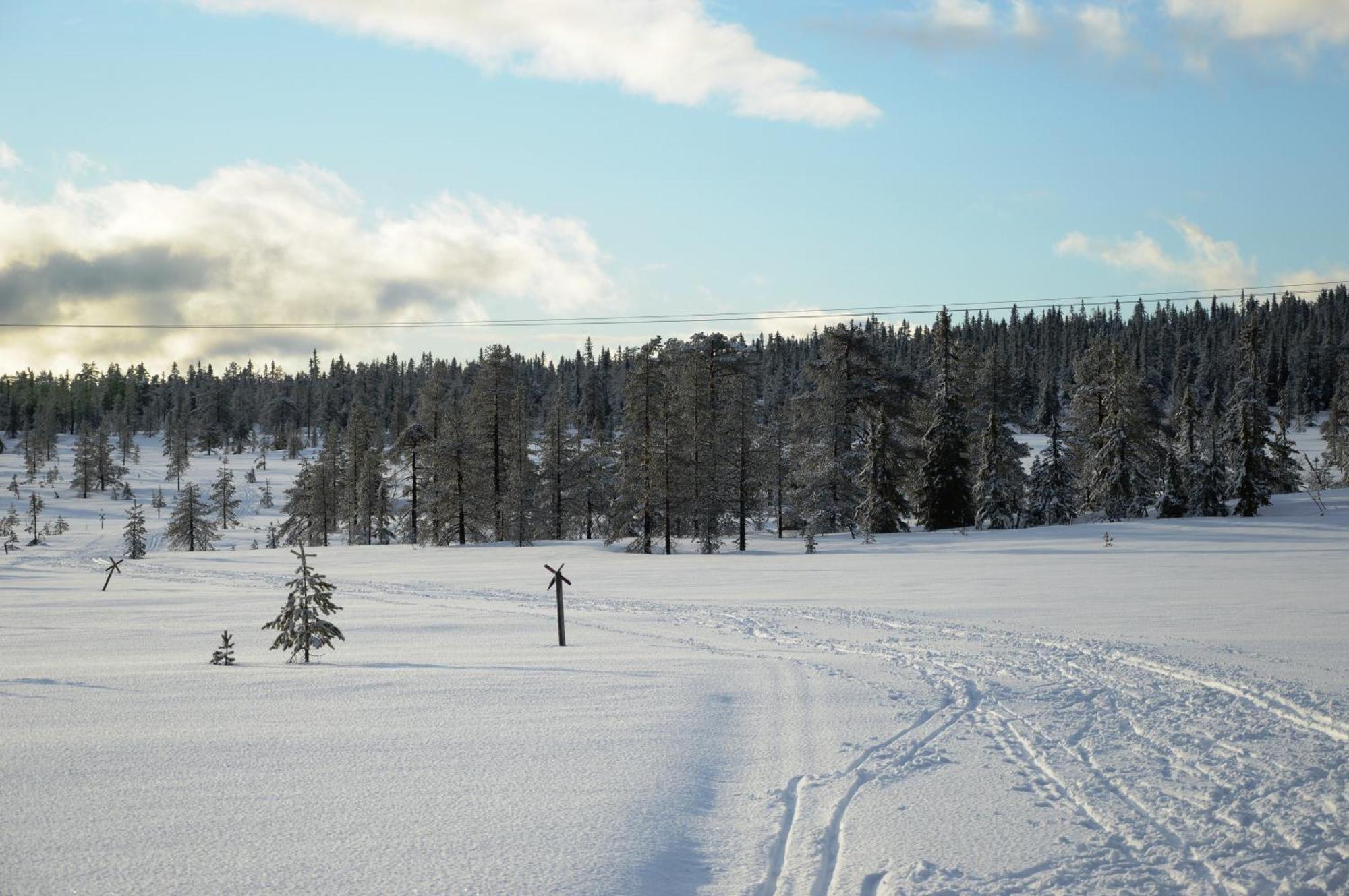 15 Nasjonalpark-sykling-kano-fisking- skogs- og fjellturer Ljørdal Eksteriør bilde