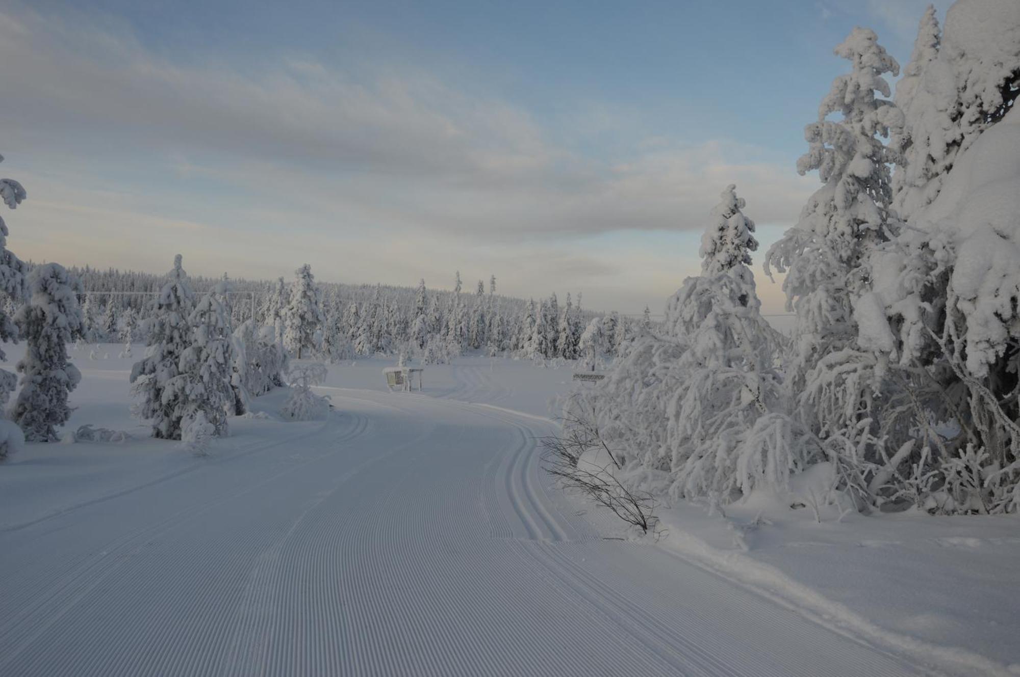 15 Nasjonalpark-sykling-kano-fisking- skogs- og fjellturer Ljørdal Eksteriør bilde