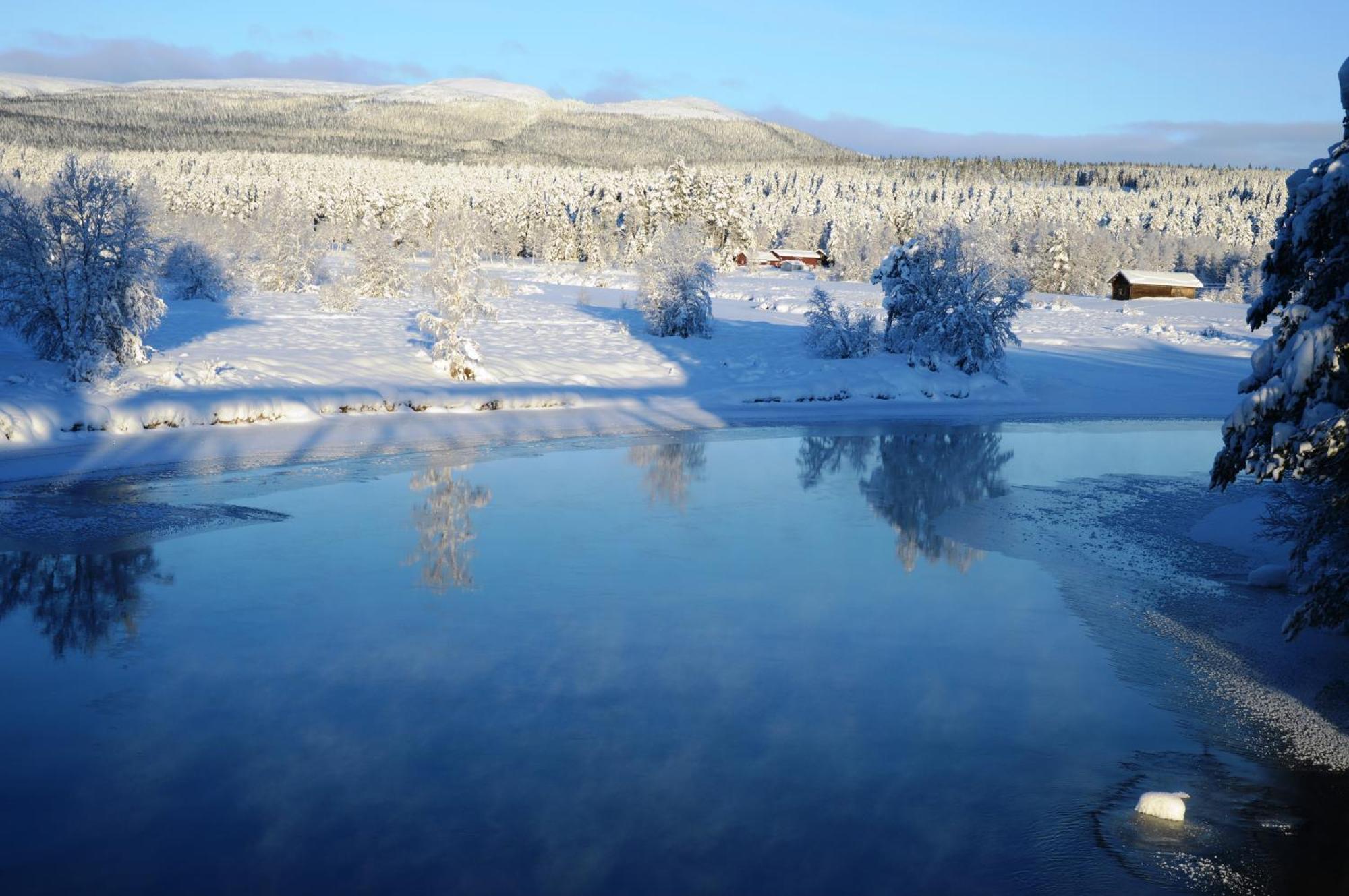 15 Nasjonalpark-sykling-kano-fisking- skogs- og fjellturer Ljørdal Eksteriør bilde