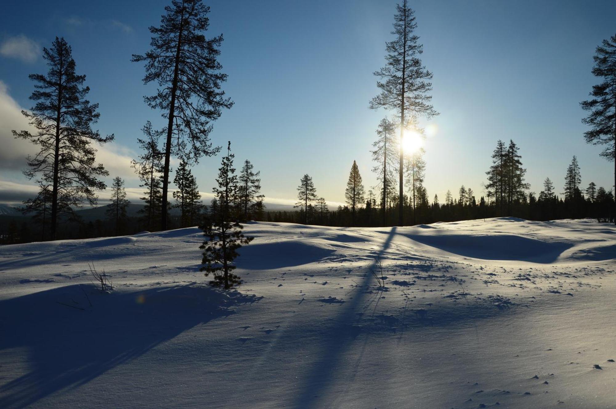 15 Nasjonalpark-sykling-kano-fisking- skogs- og fjellturer Ljørdal Eksteriør bilde