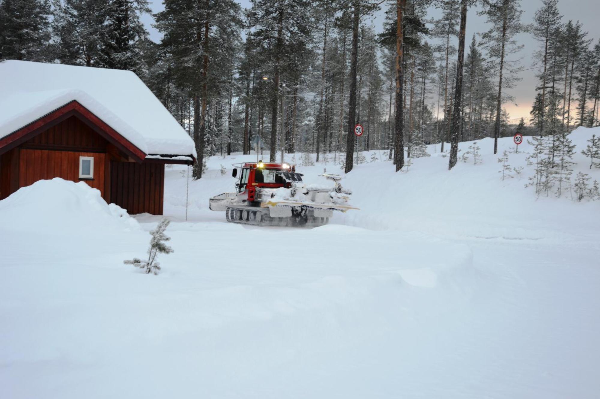 15 Nasjonalpark-sykling-kano-fisking- skogs- og fjellturer Ljørdal Eksteriør bilde