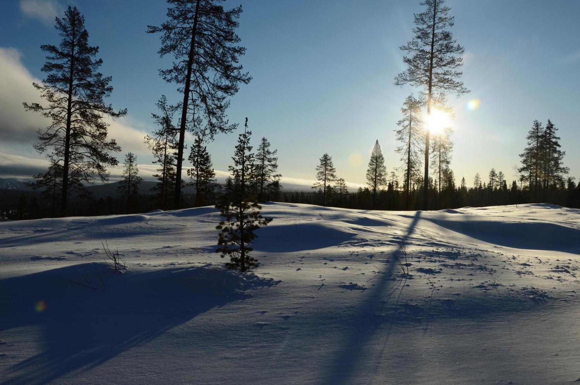15 Nasjonalpark-sykling-kano-fisking- skogs- og fjellturer Ljørdal Eksteriør bilde