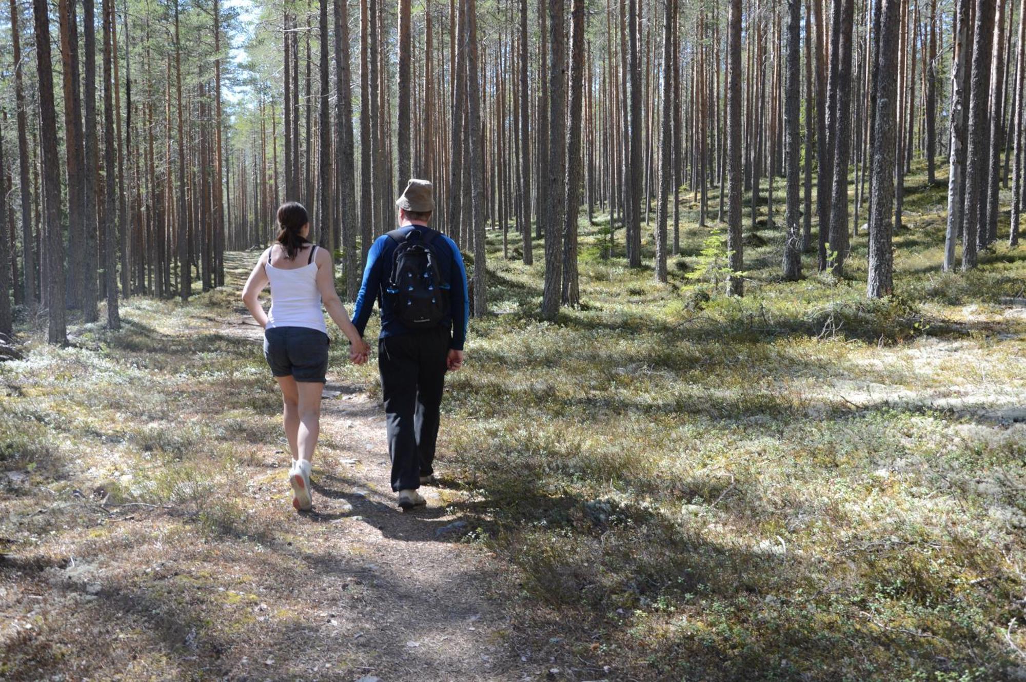 15 Nasjonalpark-sykling-kano-fisking- skogs- og fjellturer Ljørdal Eksteriør bilde