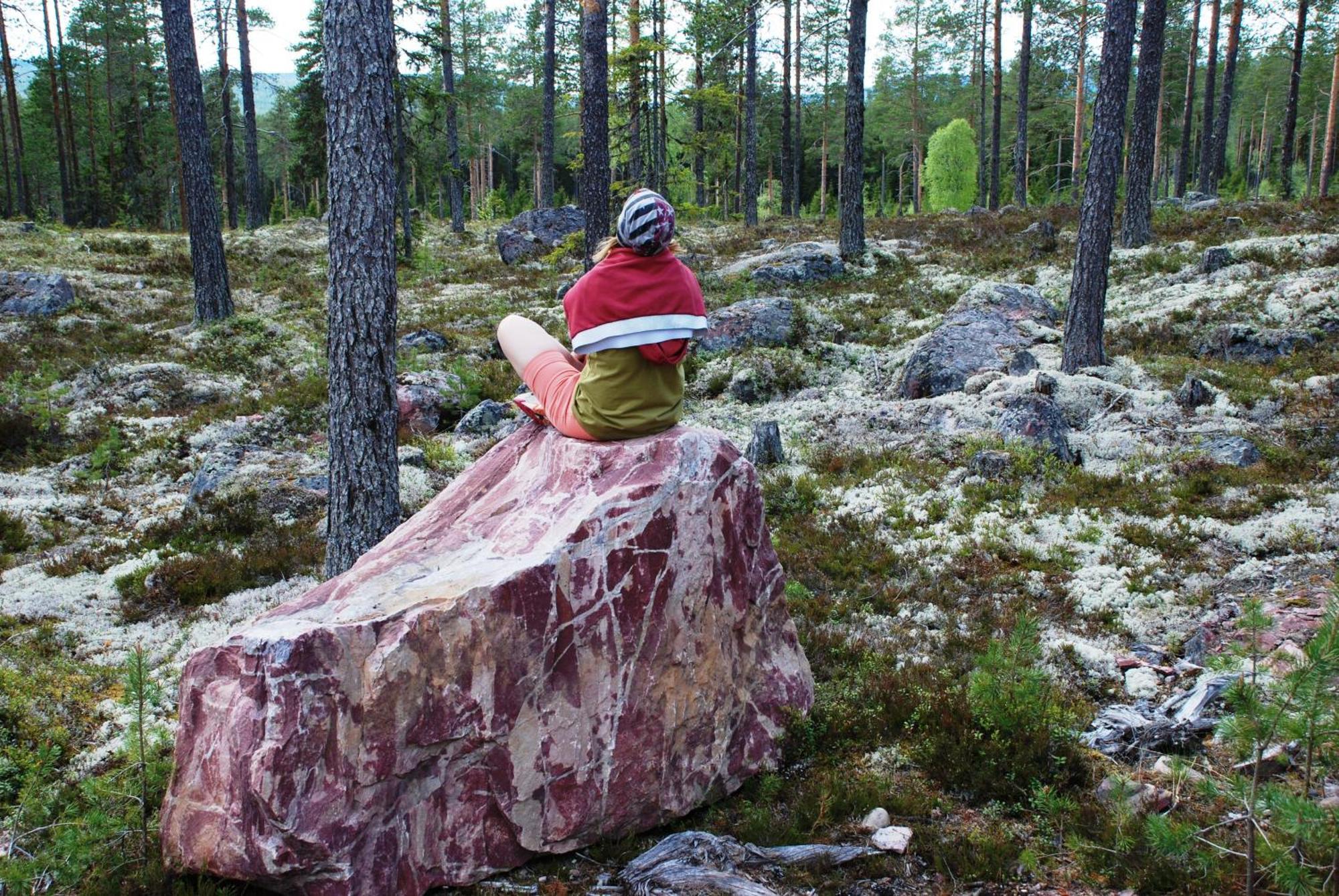 15 Nasjonalpark-sykling-kano-fisking- skogs- og fjellturer Ljørdal Eksteriør bilde