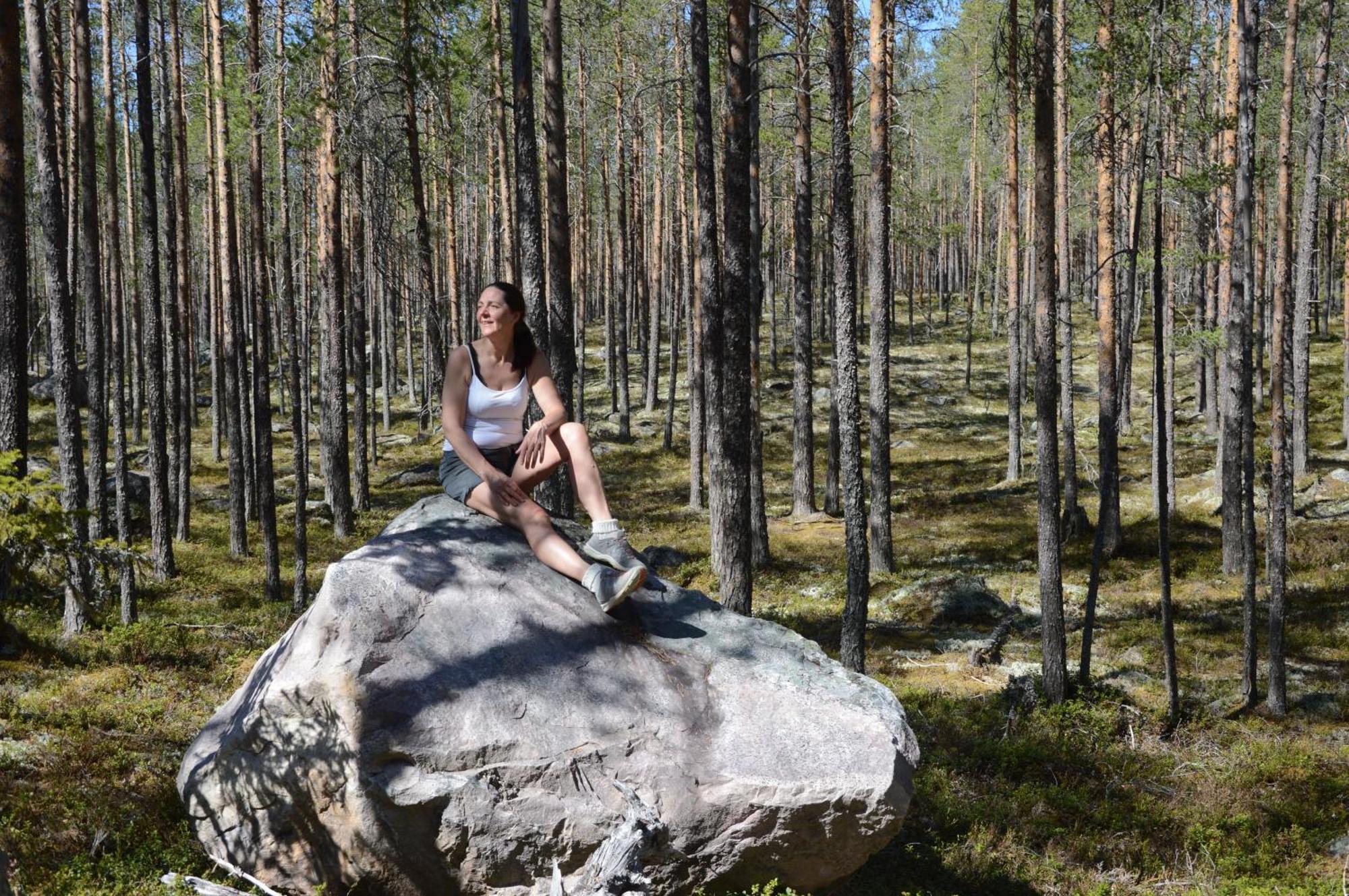15 Nasjonalpark-sykling-kano-fisking- skogs- og fjellturer Ljørdal Eksteriør bilde