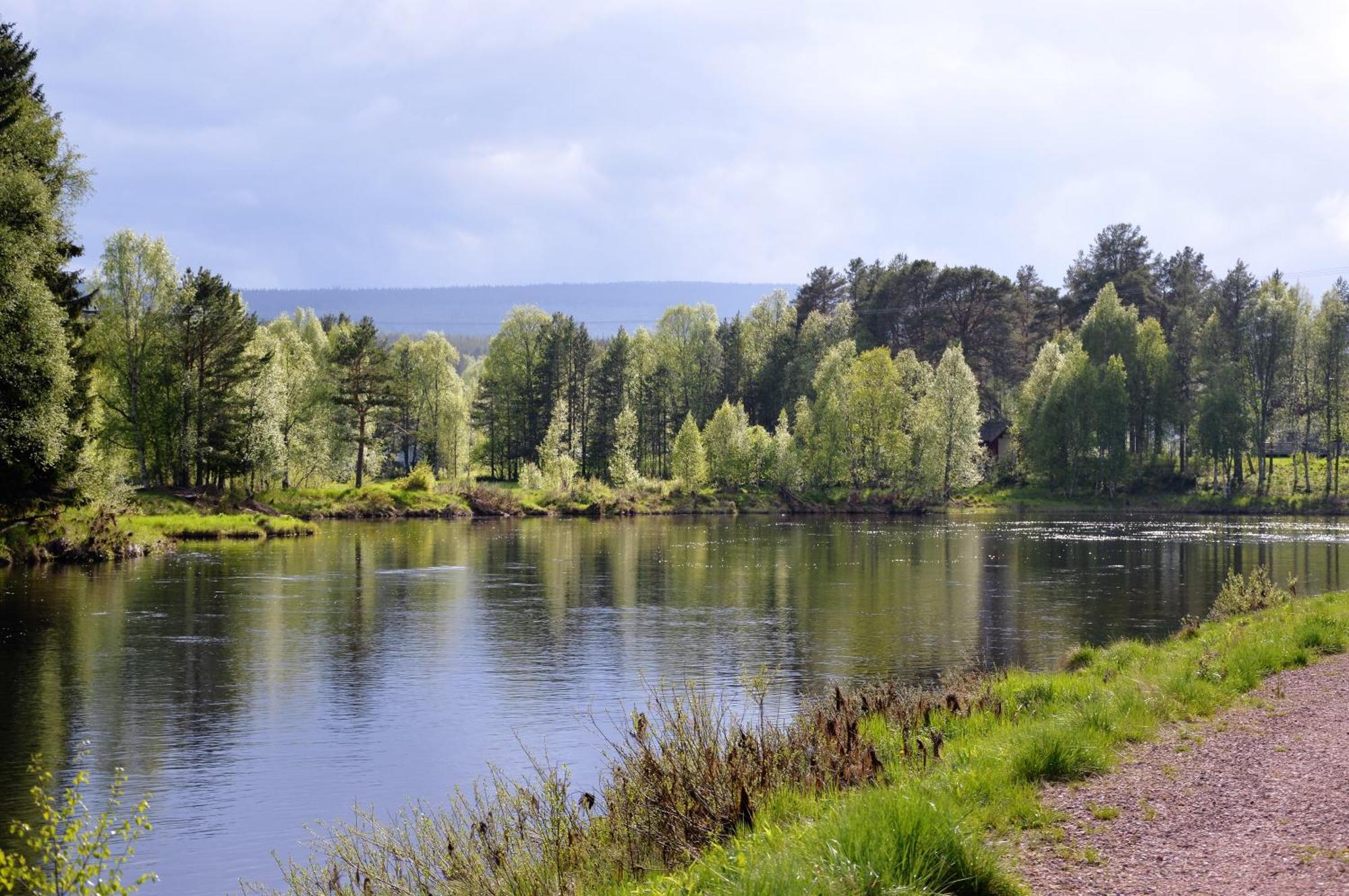 15 Nasjonalpark-sykling-kano-fisking- skogs- og fjellturer Ljørdal Eksteriør bilde