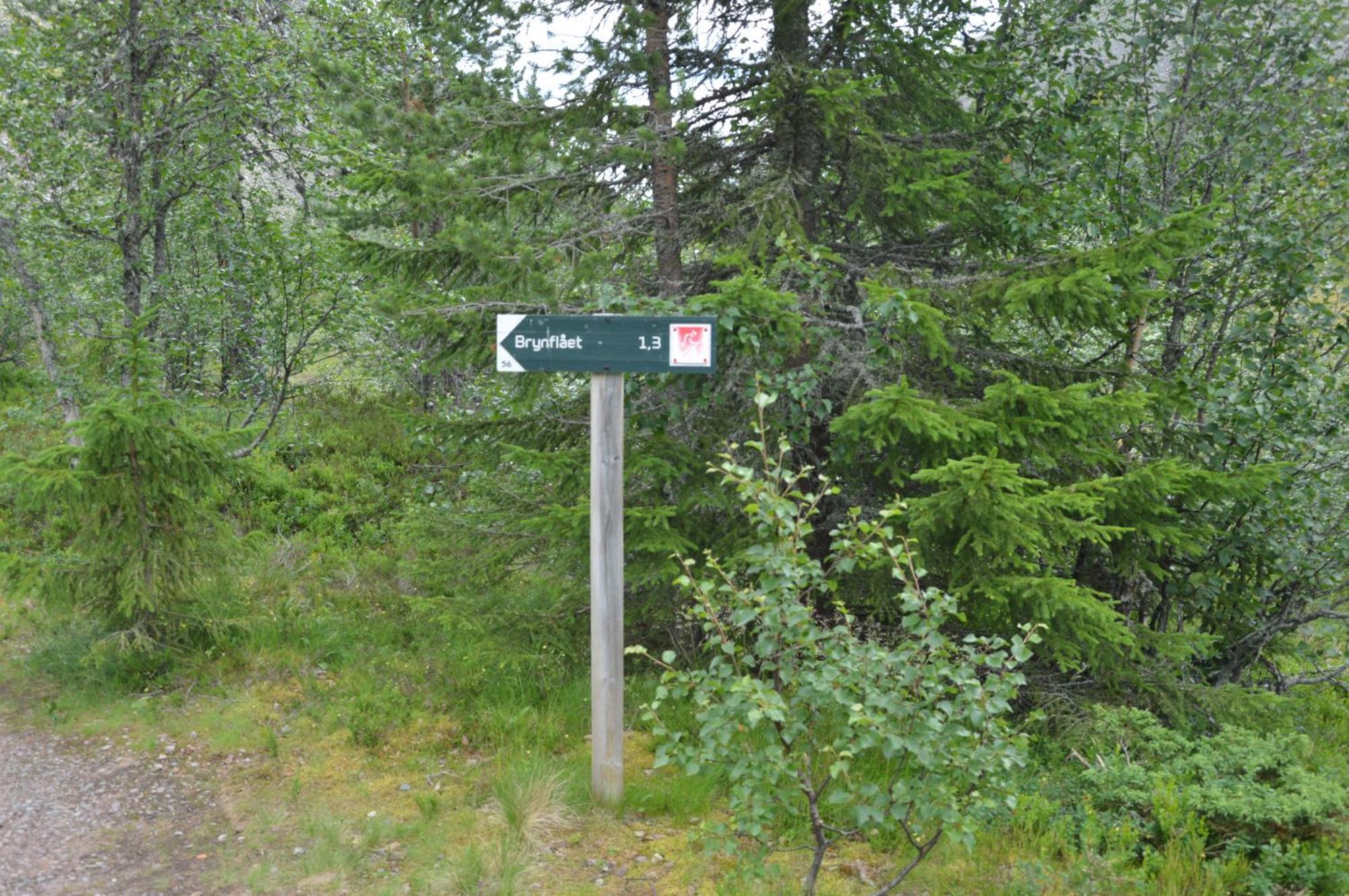 15 Nasjonalpark-sykling-kano-fisking- skogs- og fjellturer Ljørdal Eksteriør bilde