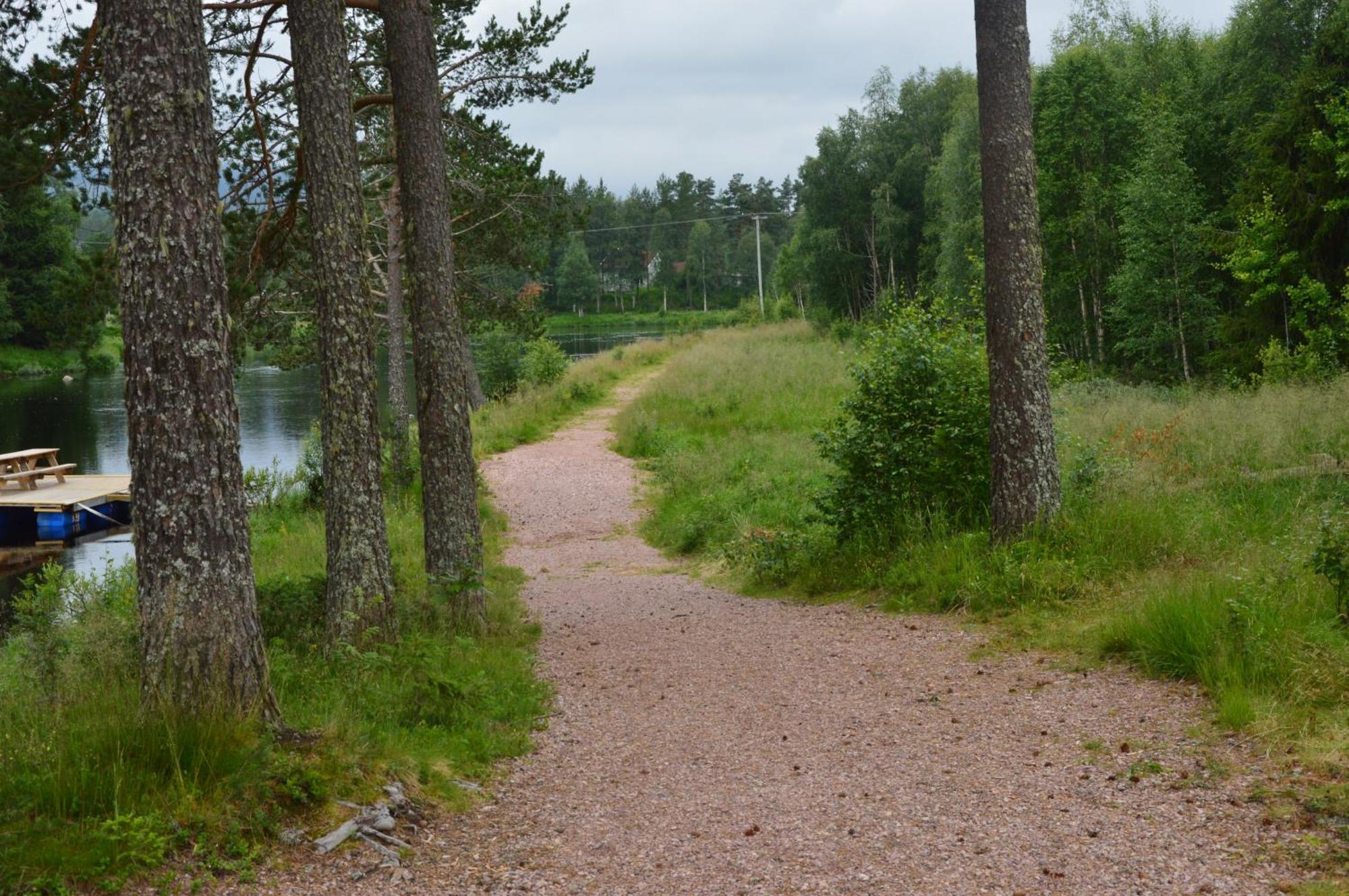 15 Nasjonalpark-sykling-kano-fisking- skogs- og fjellturer Ljørdal Eksteriør bilde