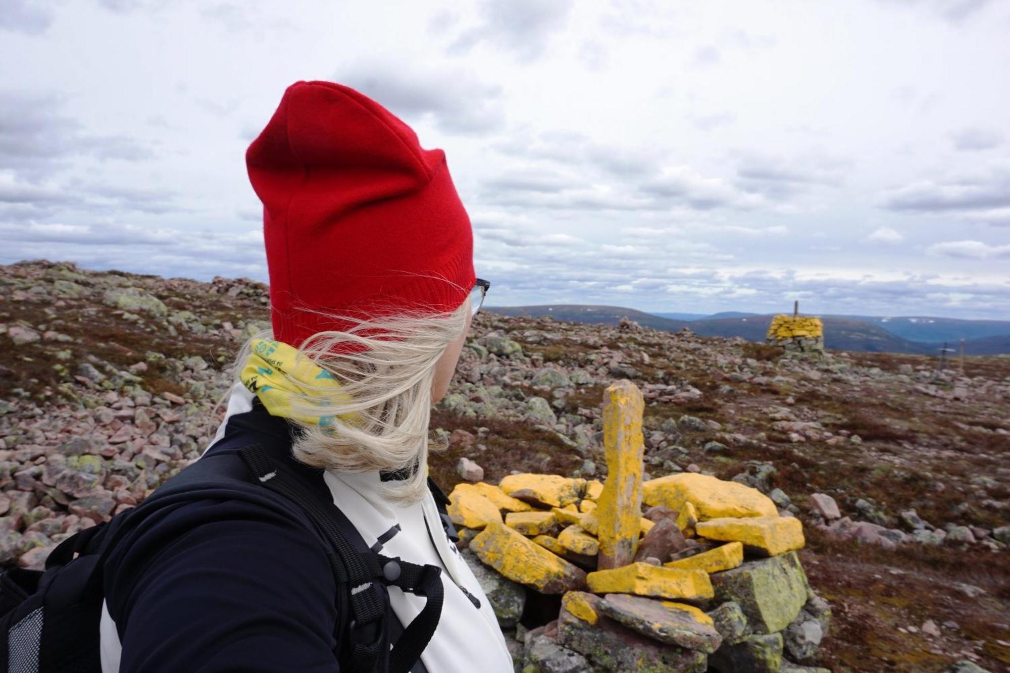 15 Nasjonalpark-sykling-kano-fisking- skogs- og fjellturer Ljørdal Eksteriør bilde
