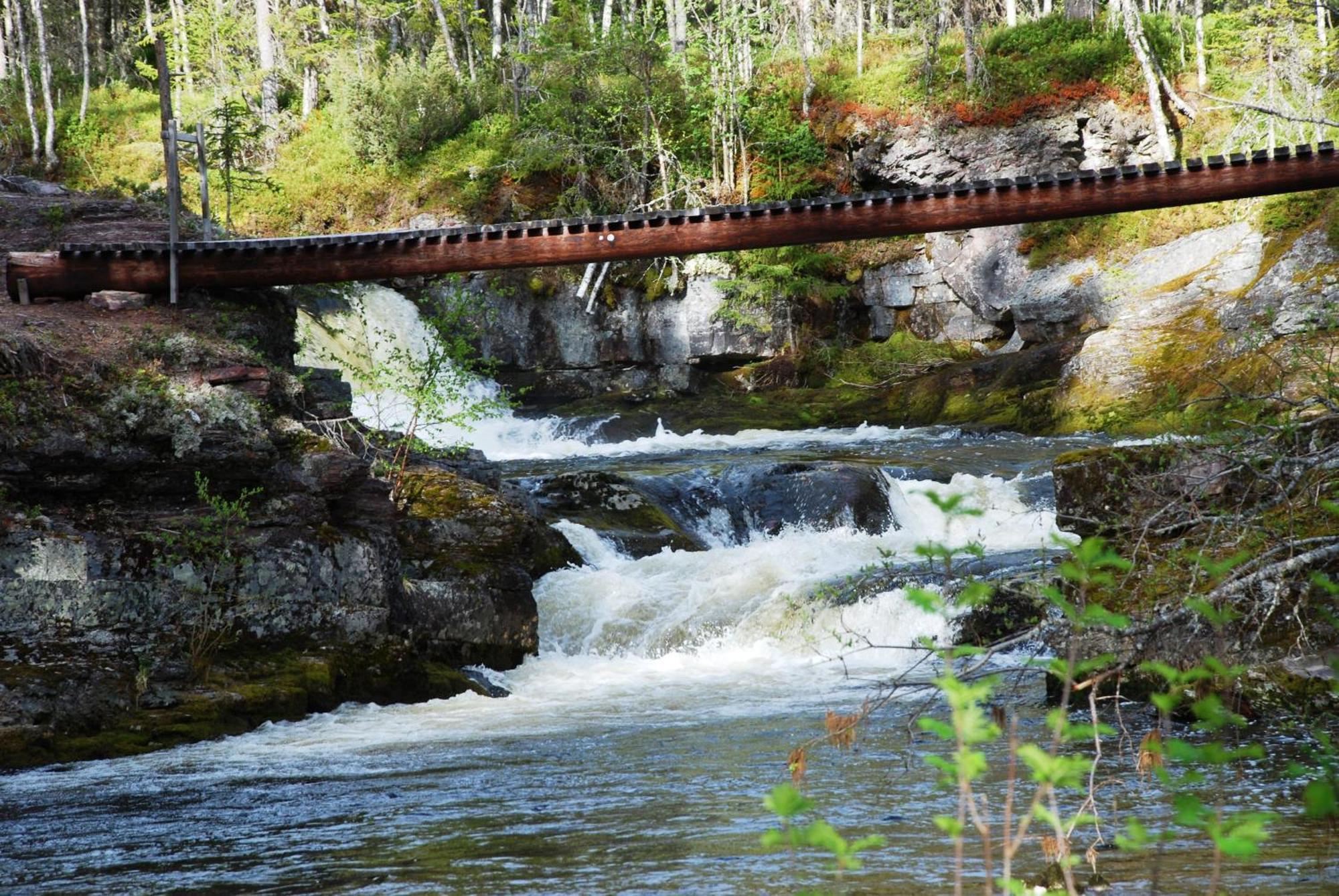 15 Nasjonalpark-sykling-kano-fisking- skogs- og fjellturer Ljørdal Eksteriør bilde