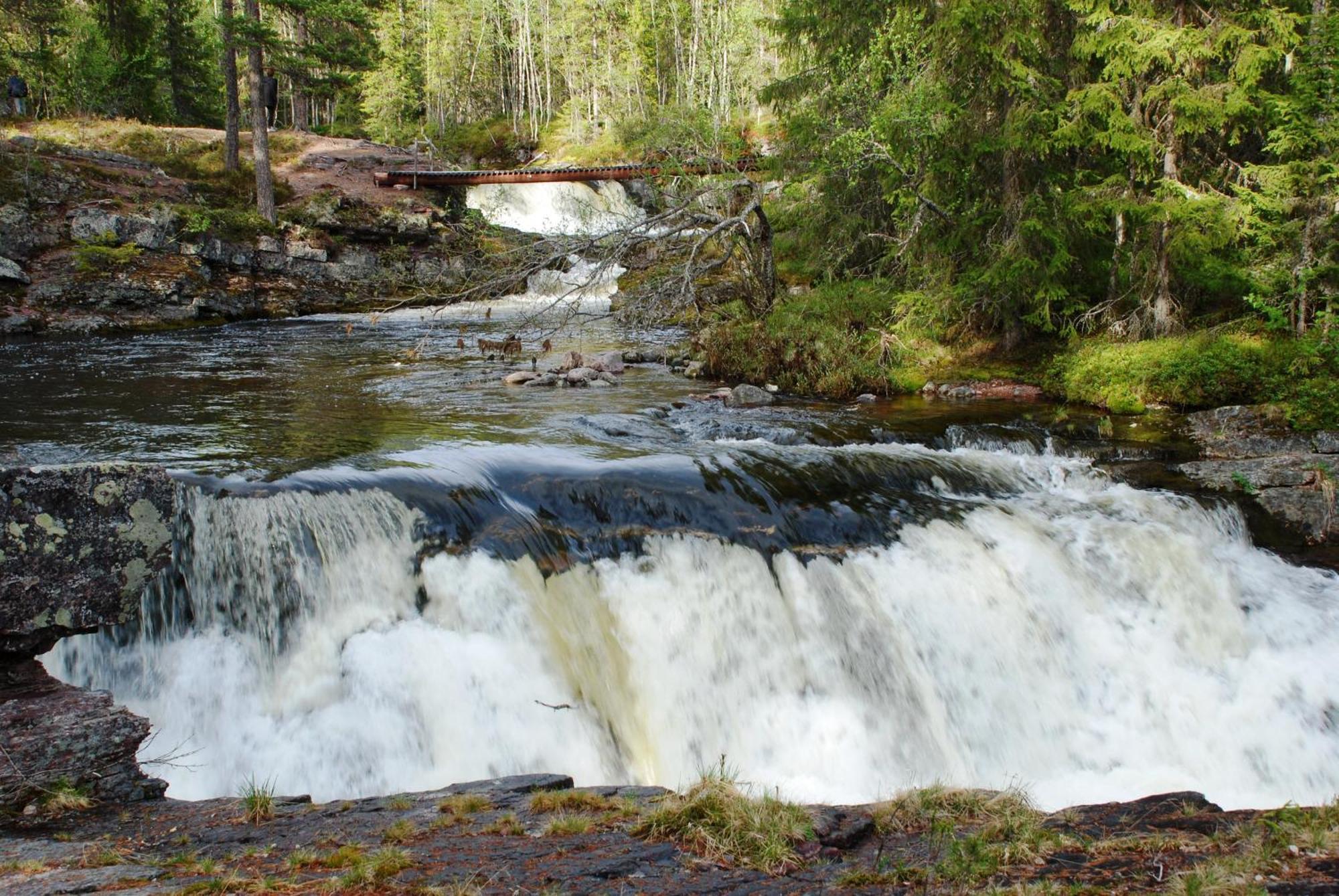 15 Nasjonalpark-sykling-kano-fisking- skogs- og fjellturer Ljørdal Eksteriør bilde