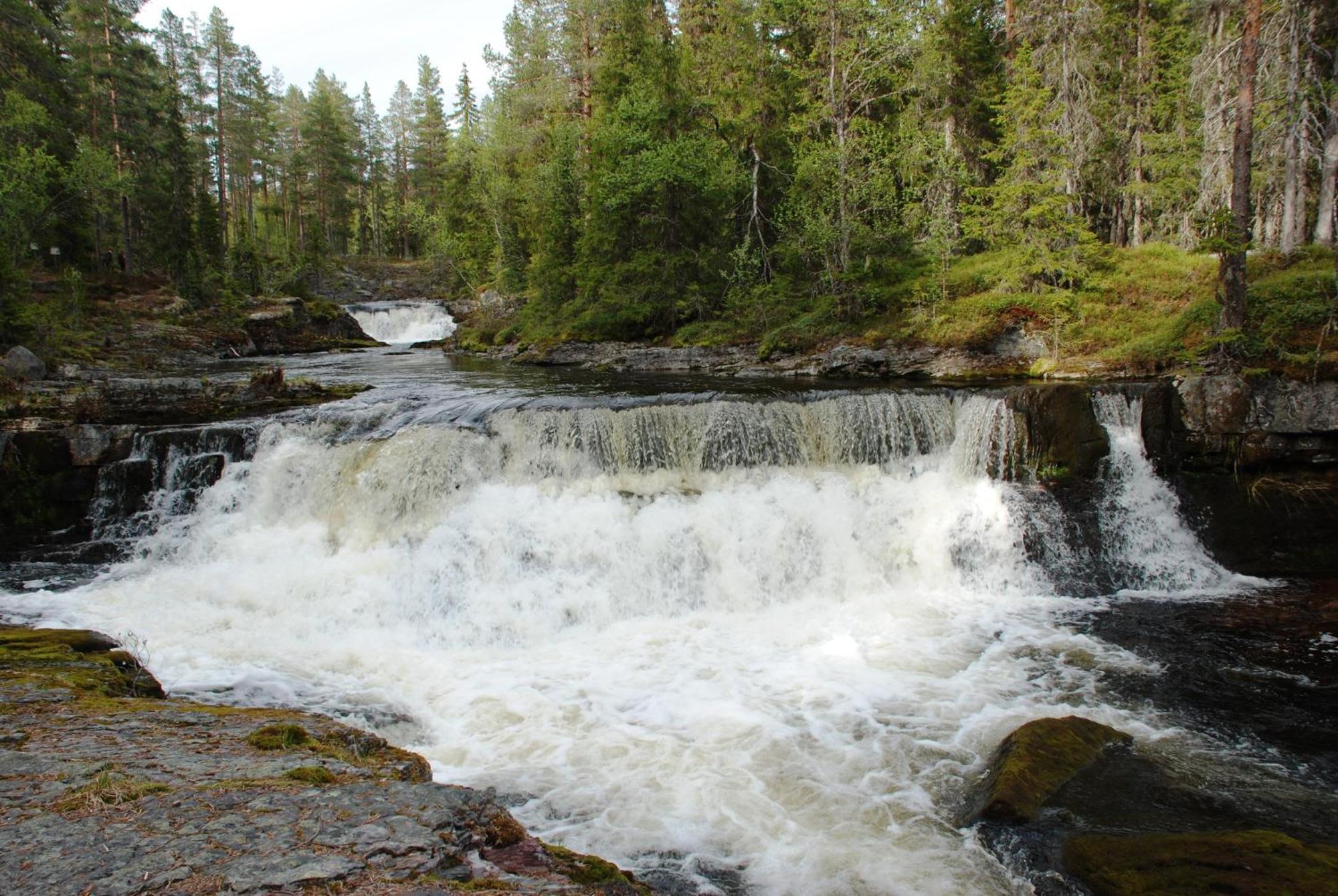 15 Nasjonalpark-sykling-kano-fisking- skogs- og fjellturer Ljørdal Eksteriør bilde